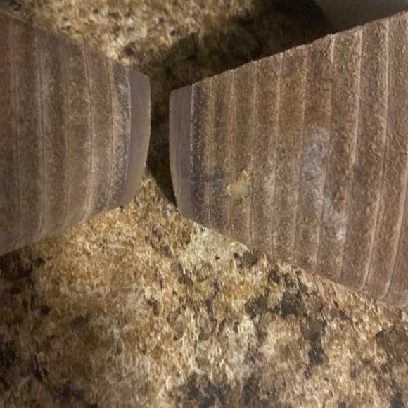 Steve Madden Suede Boots - Picture 8 of 9